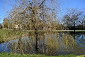 samedi matin_910
