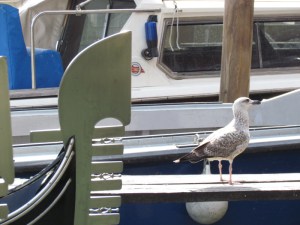 fondamenta del Vin_769