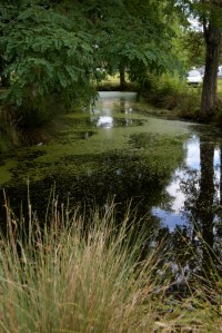 dans le parc de Launac_6-07-2014
