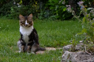 Avezan21août14_3495