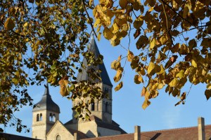 21nov14_Cluny_4376
