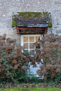 Cardeil_30déc14_4783