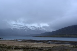 15juin15_fjords de l'Est_7440