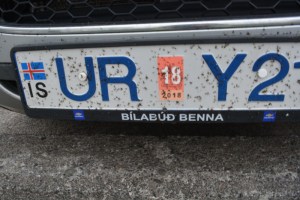 18juin15_rikmy et bitmy de Myvatn_7560