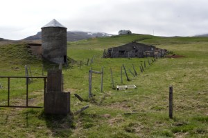 21juin15_péninsule de Vatnsnes_7892