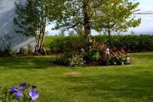 21juin15_Hvammstangi, notre maison_7686