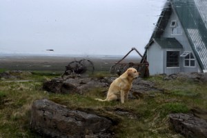 22juin15_notre gardien à Miklaholt_7916