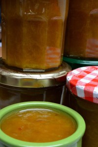 8août15_prunes du jardin_7687