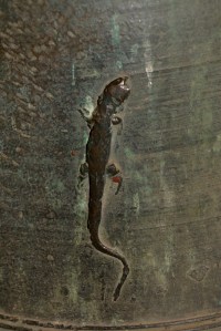 15août-Musée campanaire_8066