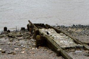 03sept_bord Tamise_8620