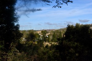 7oct2015-Naurouze_8716