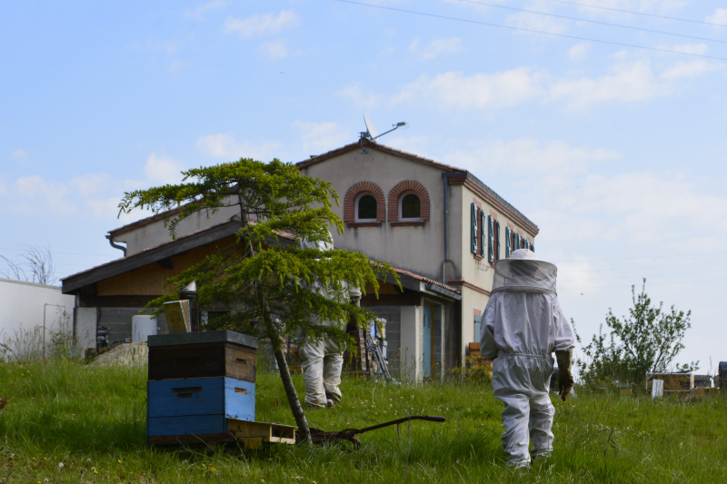 16mai_les ruchers de Naples