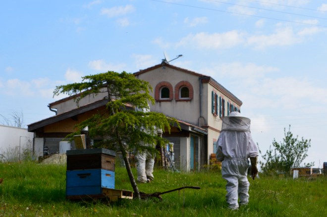 16mai_les ruchers de Naples