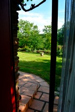 04juin16_00_jardin vert