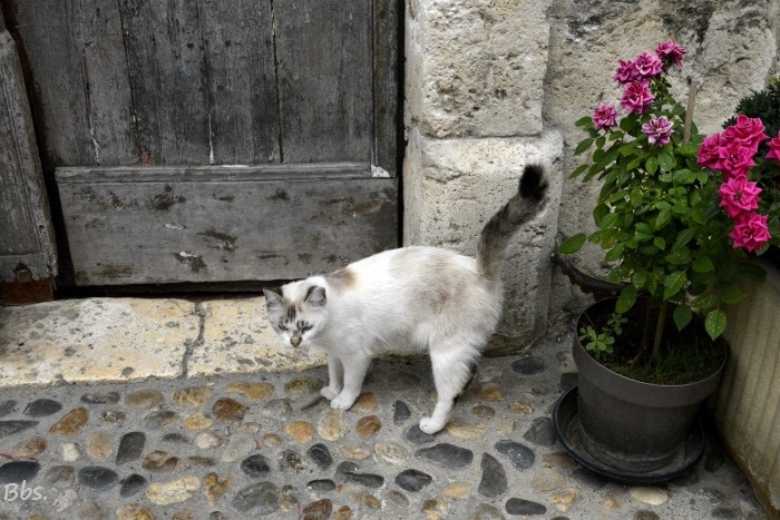 058_28août16_St Clar