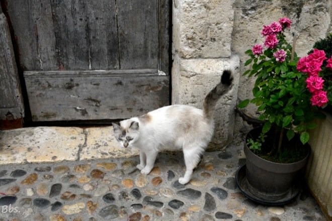 058_28août16_St Clar