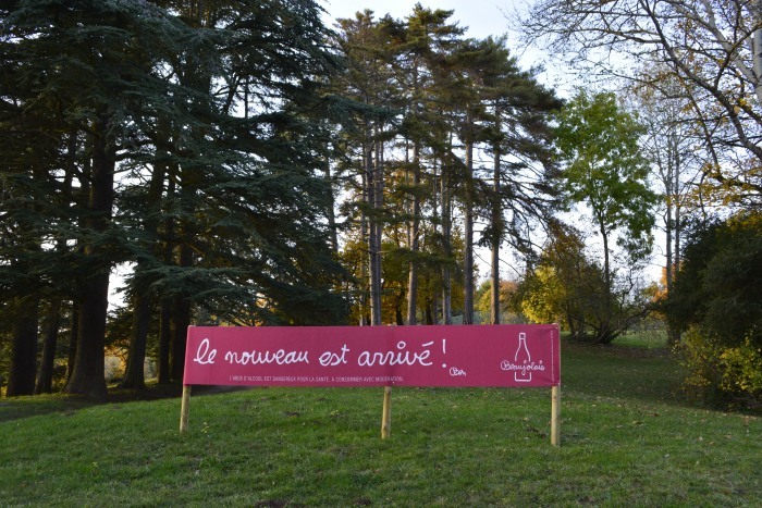 06_19nov16_montmelas_01