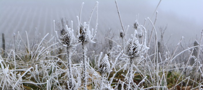 16-12-30_047_solutre