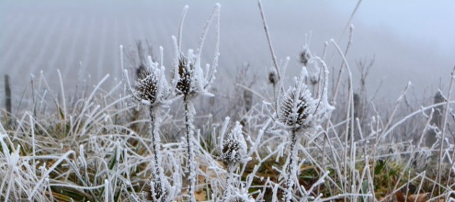 16-12-30_047_solutre