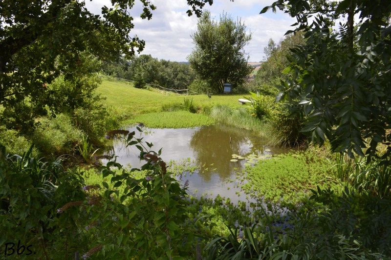 07_2jul17_coin d'eau
