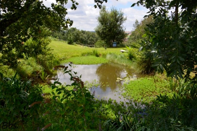 07_2jul17_coin d'eau