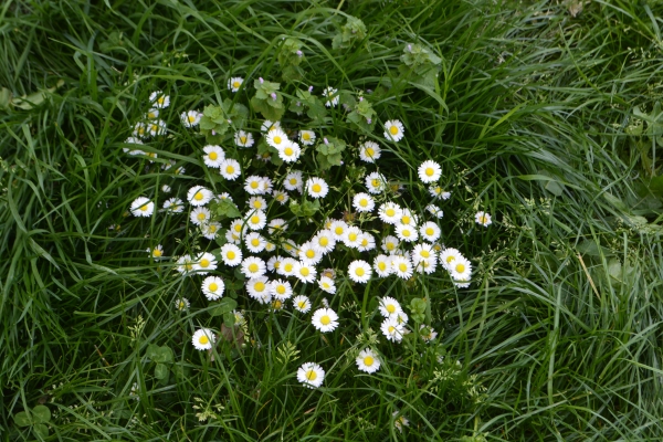 5 (ou 6) kilomètres à&nbsp;pied…