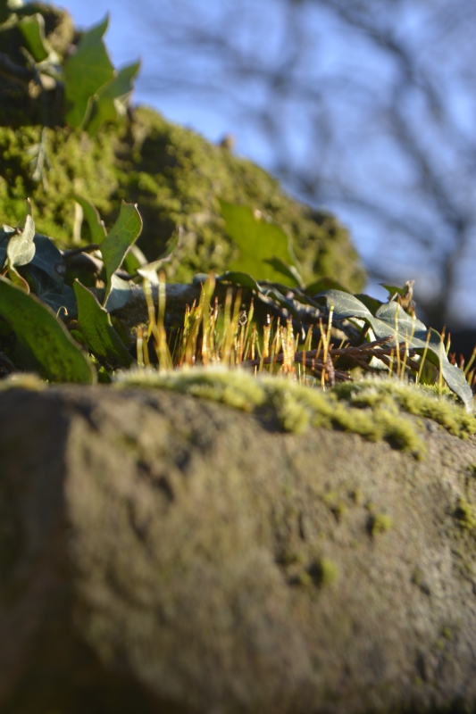 Mon mois de&nbsp;janvier