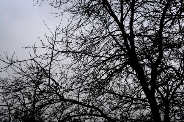 Karine, Myriam et…