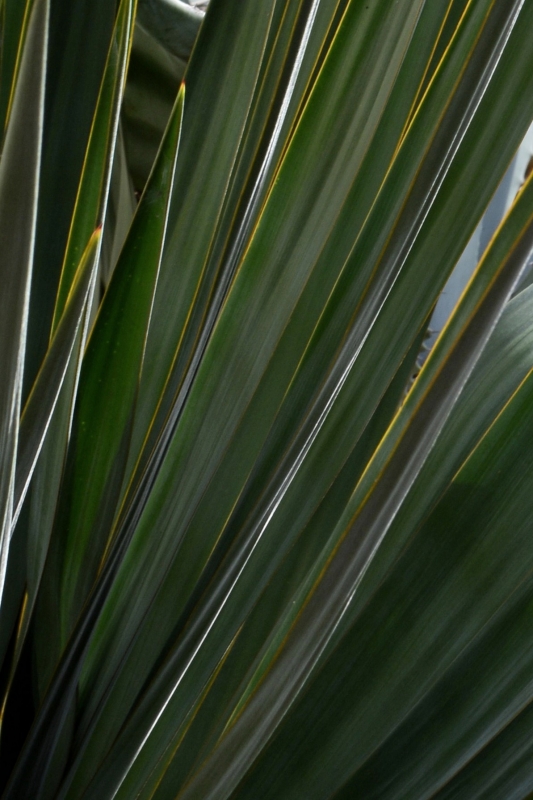 Une semaine en&nbsp;mars