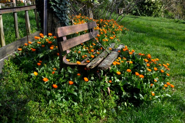 Le printemps en&nbsp;2020