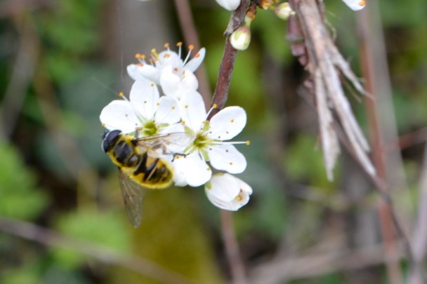 1 kilomètre et pas plus d&rsquo;1 heure&nbsp;!