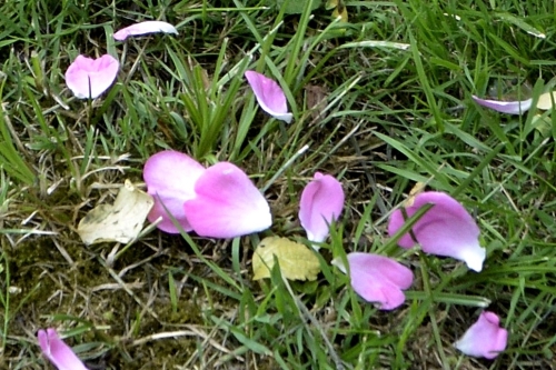 Déjà la fin de semaine&nbsp;!