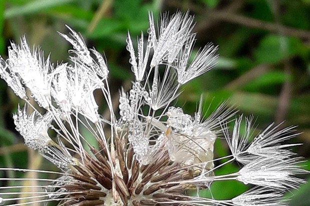 Petits bonheurs du&nbsp;matin