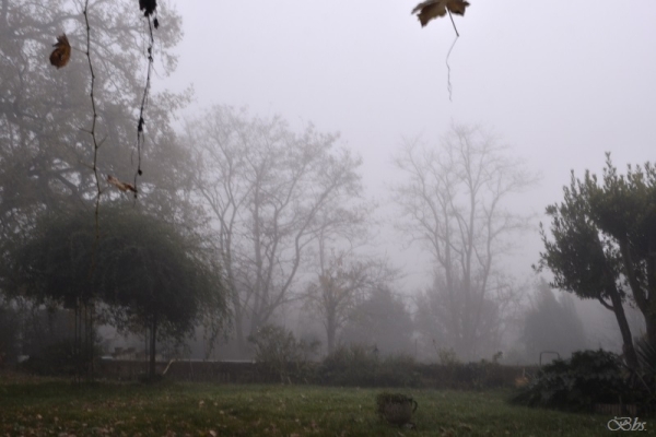 Dernier jour avant…