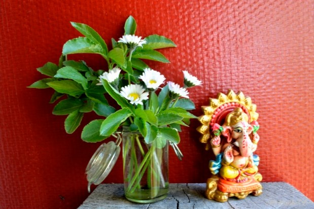 V&rsquo;là l&rsquo;printemps…