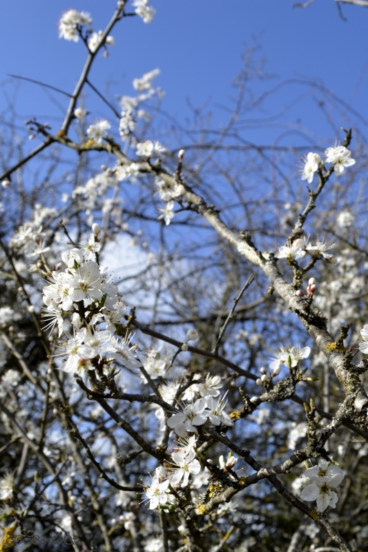 Derniers jours d&rsquo;hiver