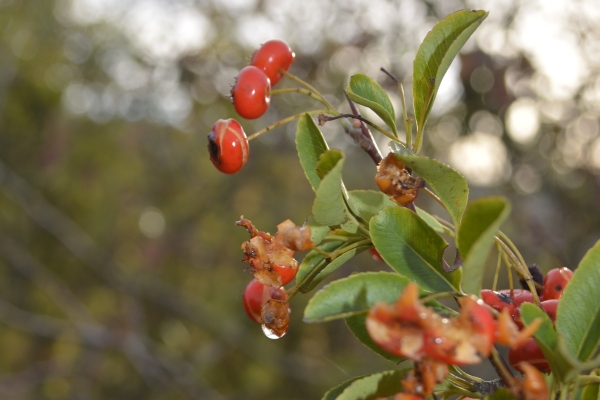 un peu d&rsquo;air&nbsp;frais