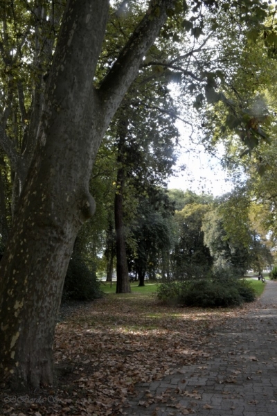 Besançon en septembre