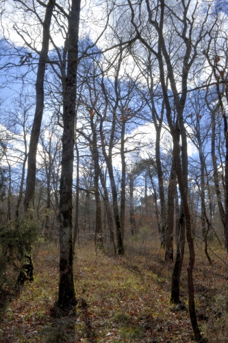 Ciel, des nuages&nbsp;!